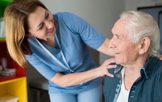 Get Job-Ready: New Certificate IV Courses at Bendigo TAFE